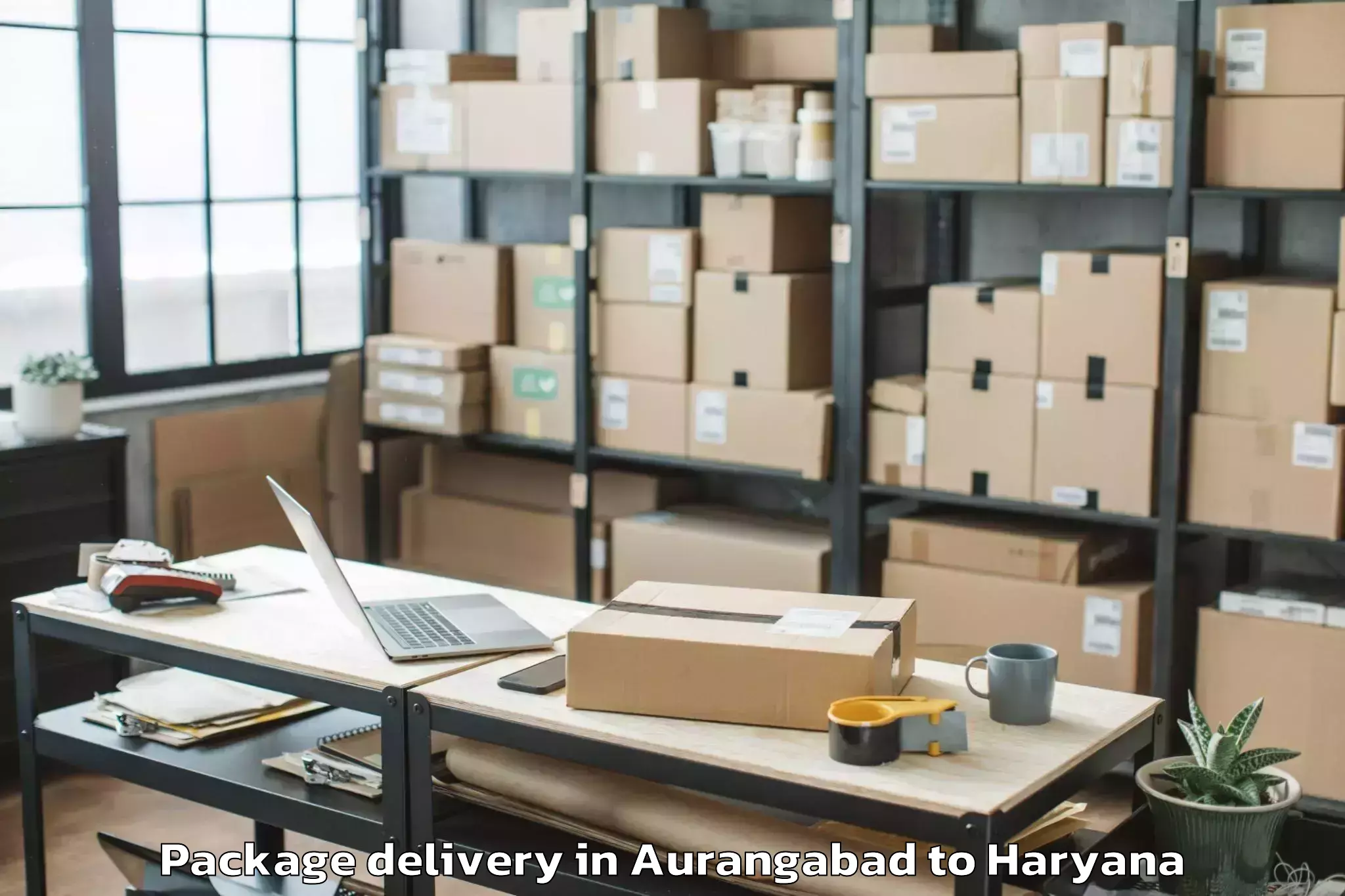 Quality Aurangabad to Lingayas University Faridabad Package Delivery